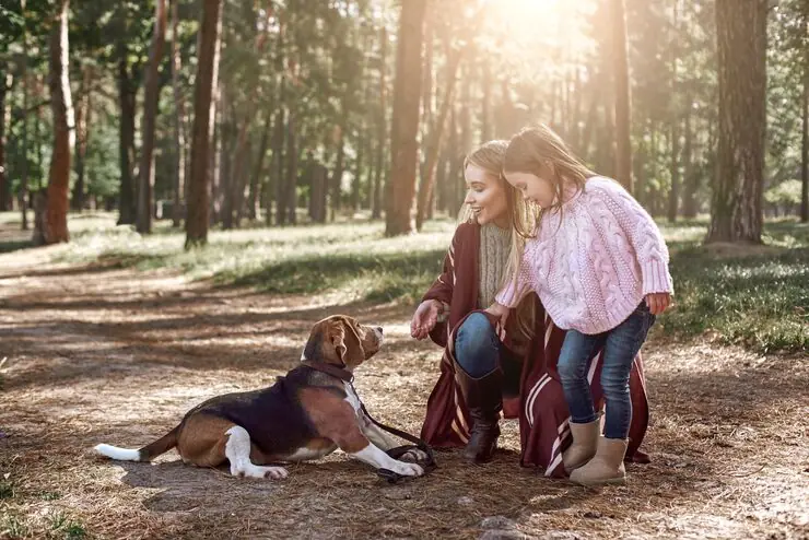 IATA Compliant Travel Crates and Preparation​