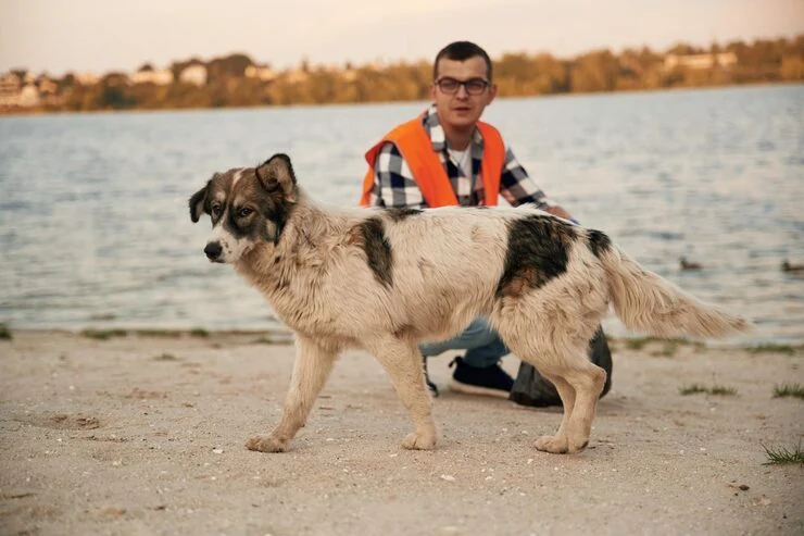 IATA-Compliant Travel Crates and Preparation​