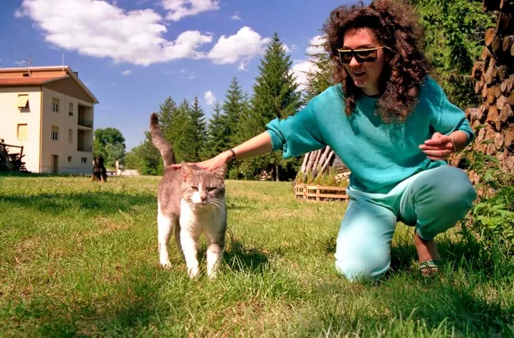 IATA Crate Planning and Verification