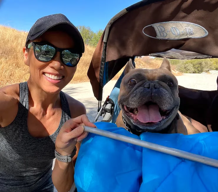 International Health Documentation Review