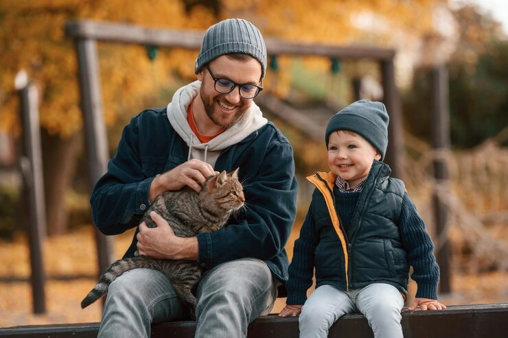 Long Distance and Interstate Cat Transport