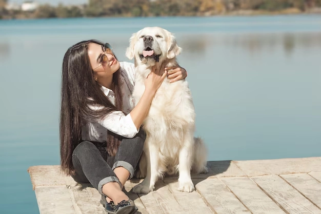 Multi-Pet and Family Relocation Transport