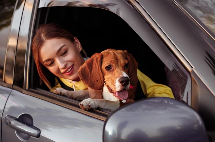 Ongoing Communication and Case Oversight