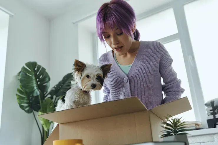 Ongoing Owner Communication Throughout the Journey