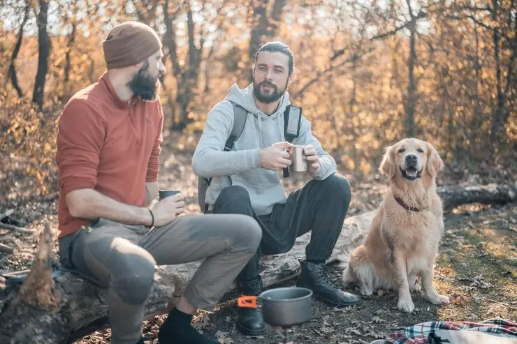 Ongoing Owner Communication and Case Oversight