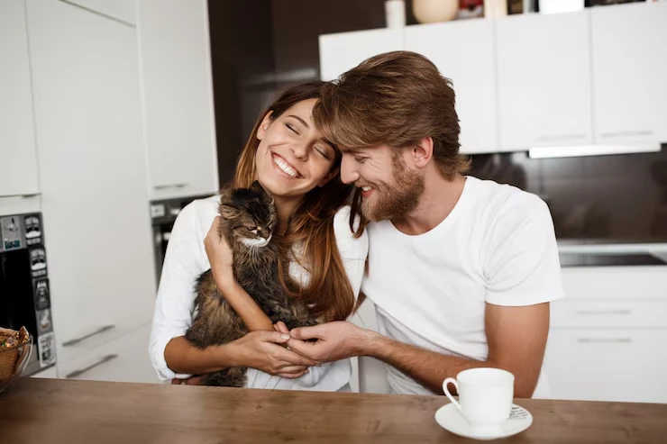 Ongoing Owner Communicationss