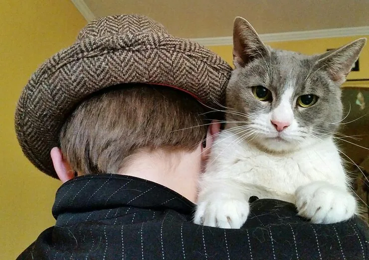 Ongoing Owner Guidance and Communication