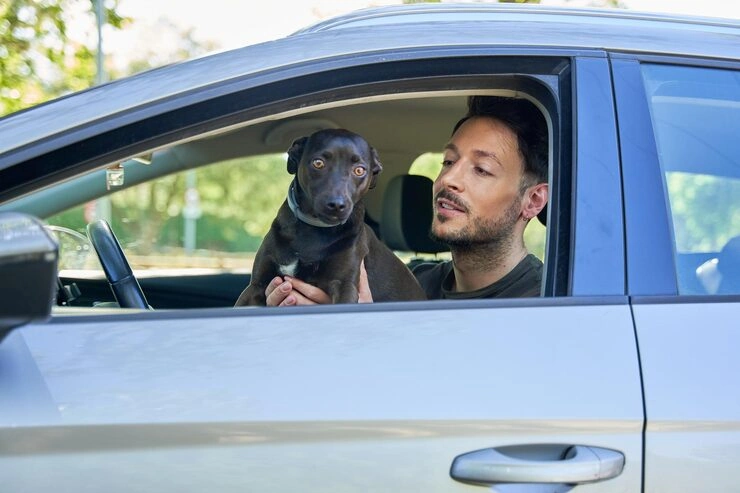 24-7 Pet Transport Emergency Services