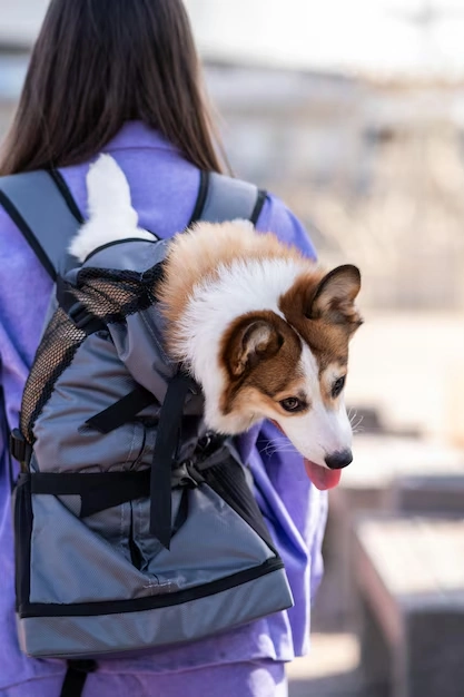 Owner Communication and Process Visibility