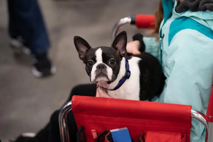 Owner Guidance and Timeline Management​