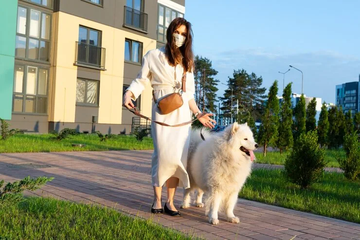 Owner Support and Timeline Oversight