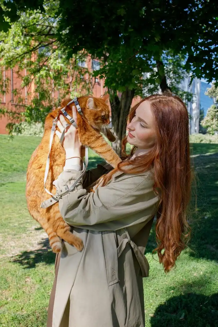 Pet Relocation Services From Luton to the USA