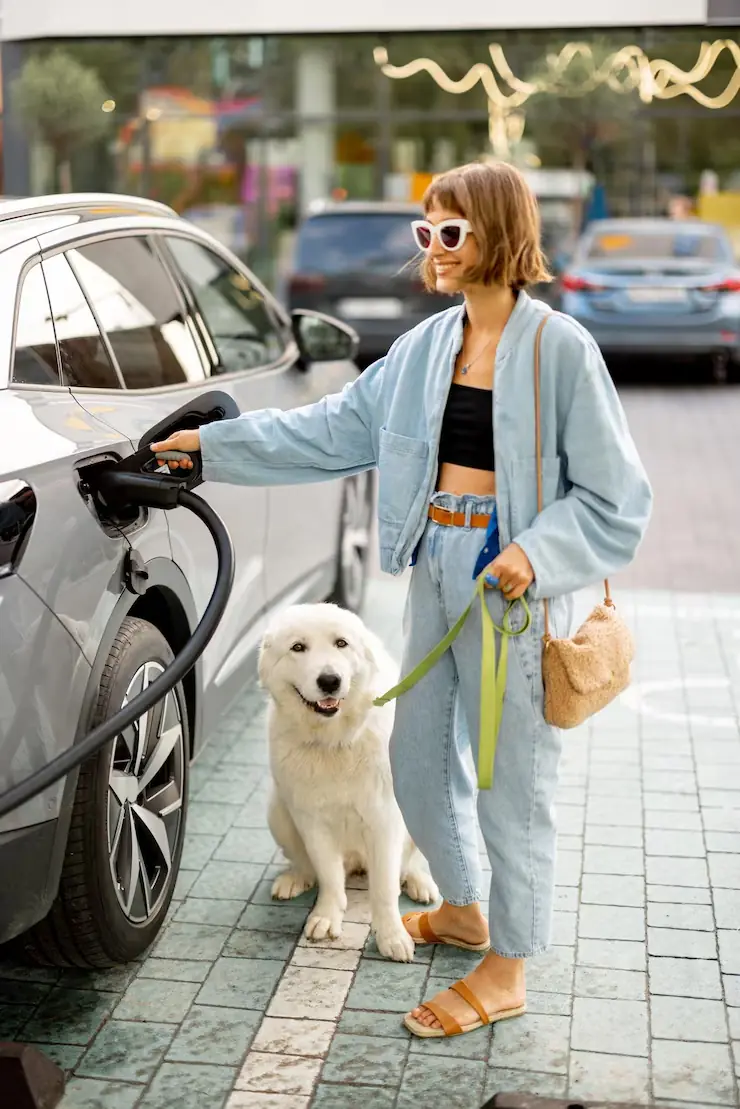 Pet Relocation Services From the UK to Paris