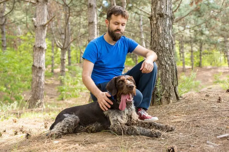 Pet Relocation Services From the UK to Sydney