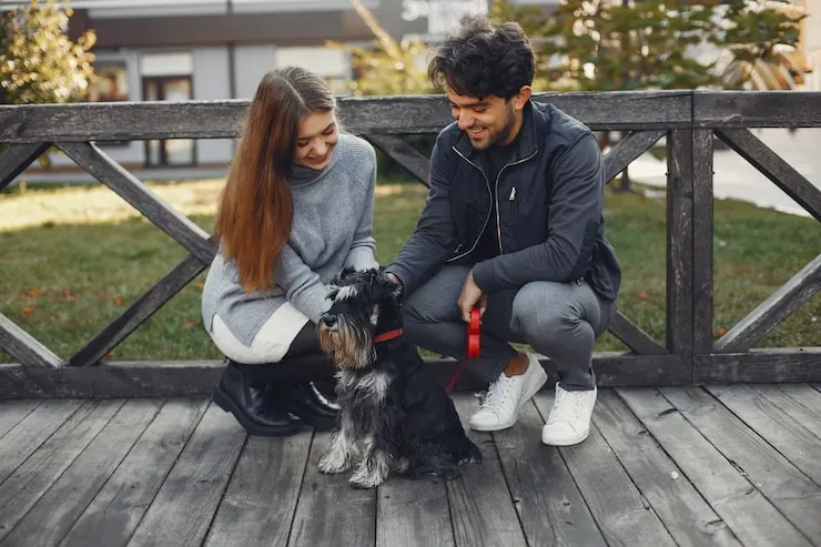 Pet Transport Services From Leicester to Dubai