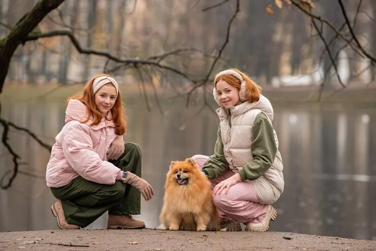 Pet Transport Services From London to Dubai