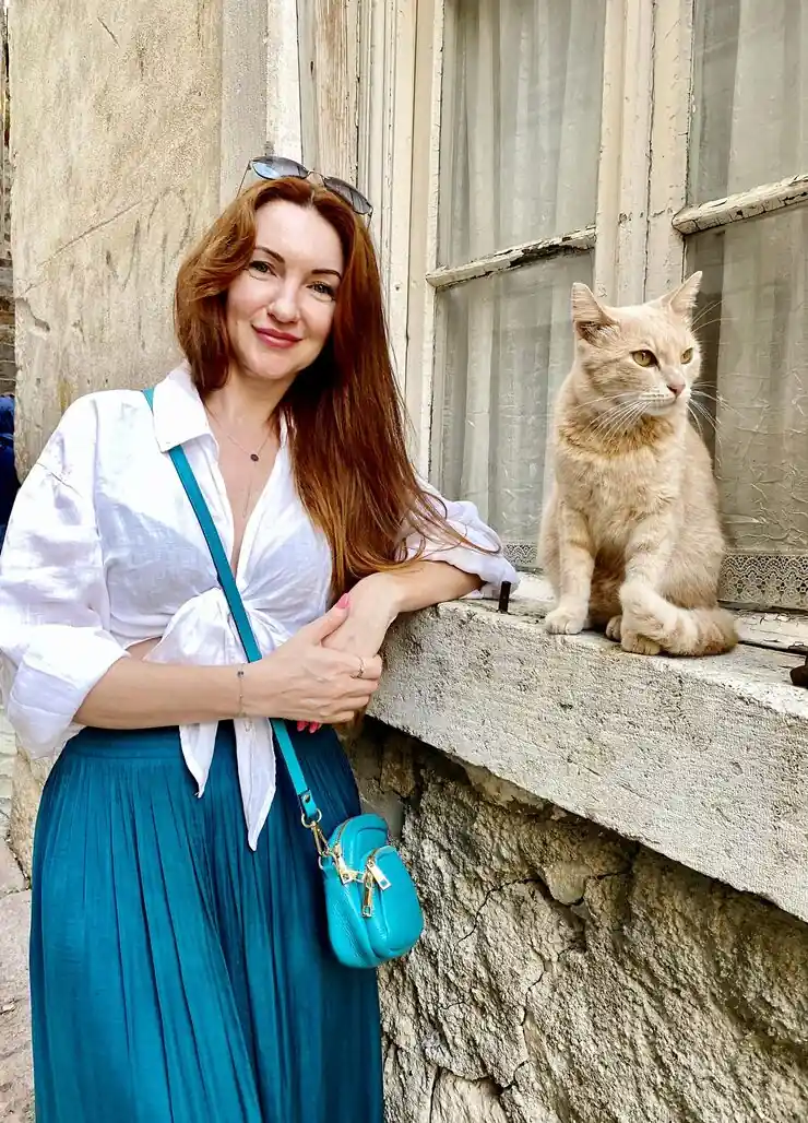 Pet Transport Services From York to the USA