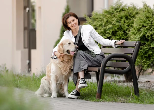 Pet Transport Services From the UK to Germany