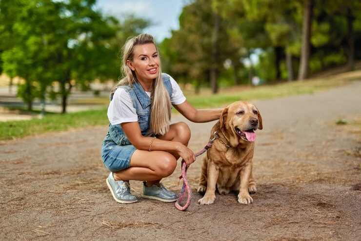 Pet Transport Services From Glasgow to Dubai