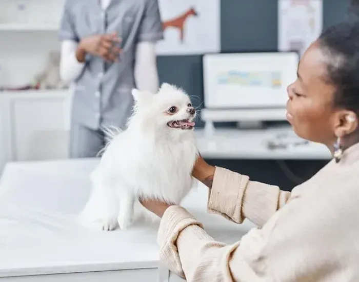 Post-Arrival Support and Compliance Review