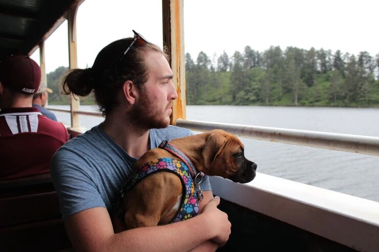 Pre-Departure Checks and Final Clearance