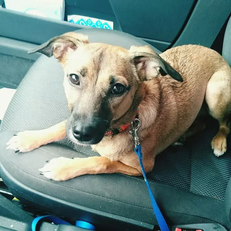 Pre-Relocation Compliance Planning