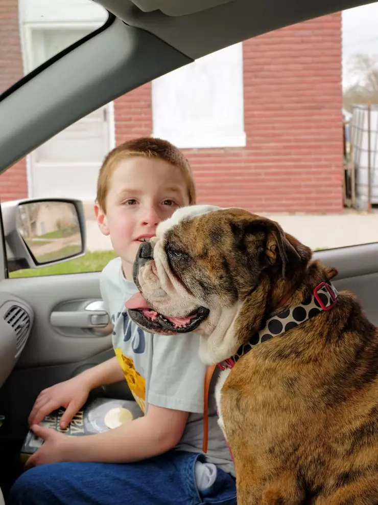 Pre-Transport Assessment and Route Planning