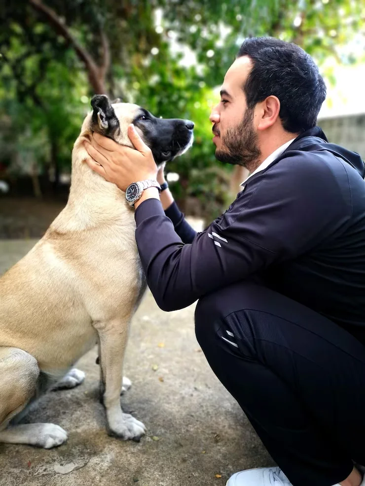 Private Pet Jet Services in London​