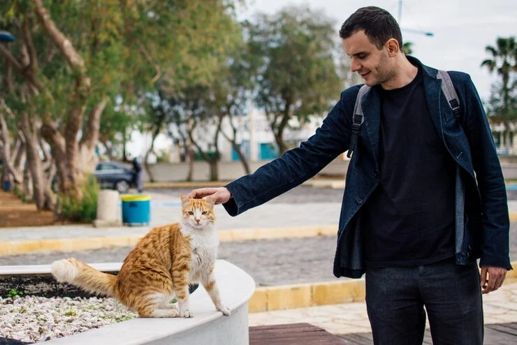 Quarantine Risk Mitigation Planning