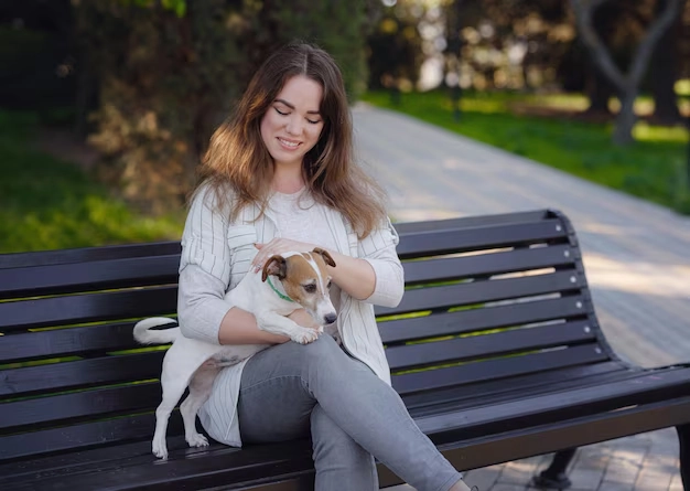 Return and Repeat UK France Pet Transport