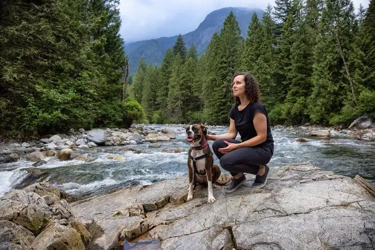 Saudi Import Permit and Authority Liaison