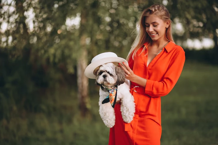 Security-Conscious Transport Planning