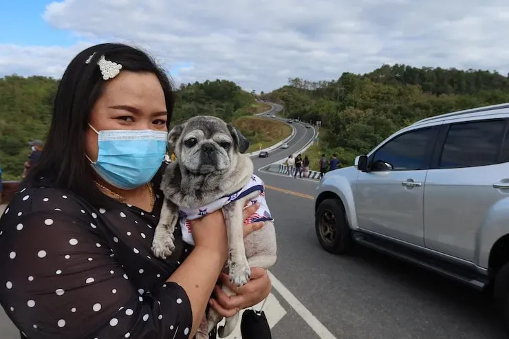 Specialist Exotic Pet Relocation Services