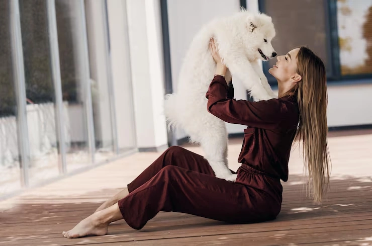 Stress-Managed Transport for Sensitive Dogs​