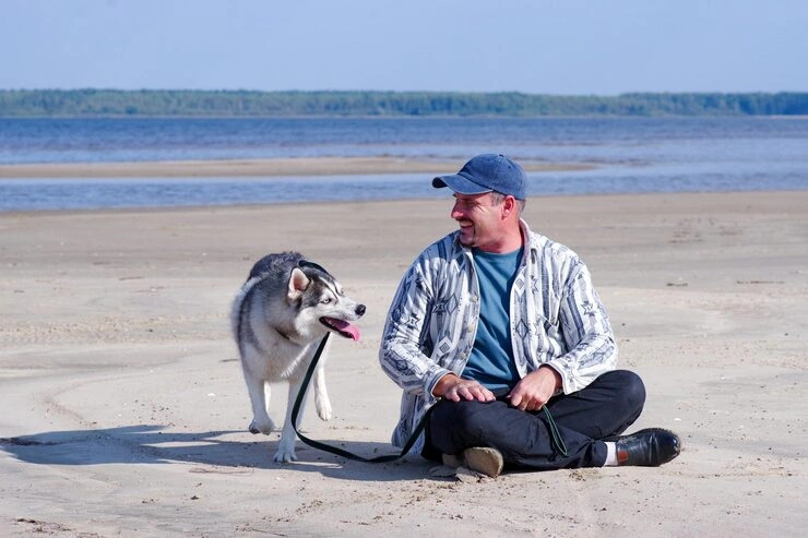 Sydney Quarantine Intake and Arrival Coordination