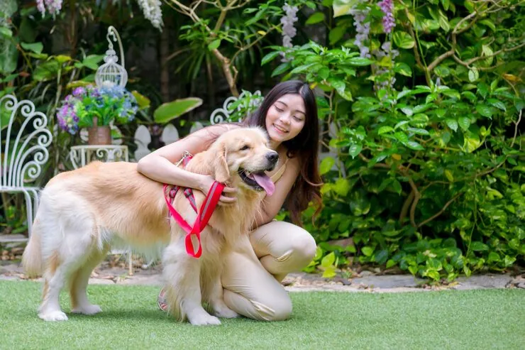 Temperature Management and Seasonal Routing