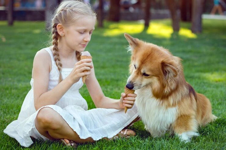 UK Border Clearance and Arrival Handling