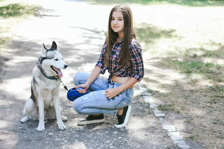 UK Export Documentation and Veterinary Coordination