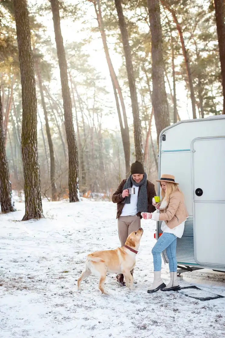 UK to Australia Pet Eligibility and Planning