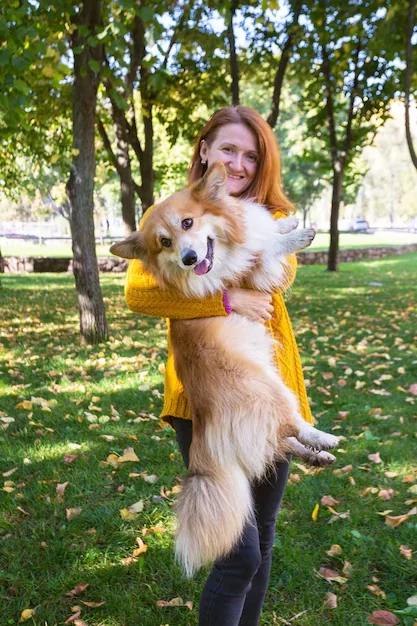 UK to Paris Pet Travel Planning