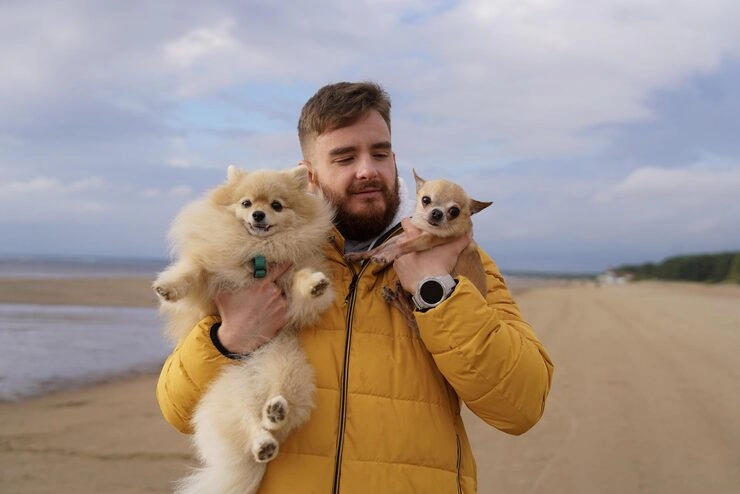 Veterinary Coordination and Scheduling