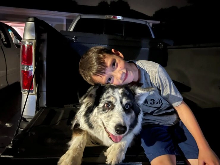 Veterinary Coordination in the UK