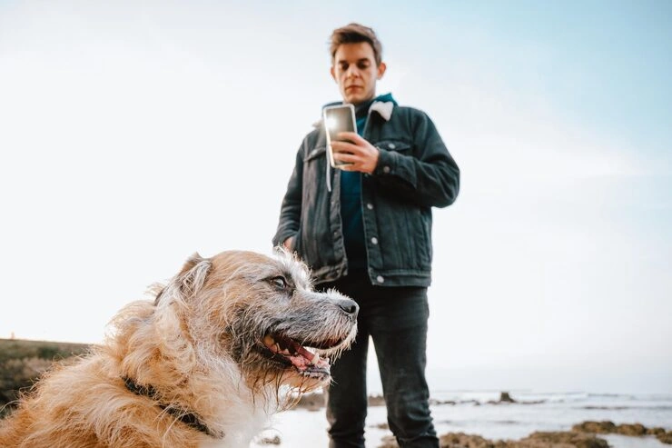 Veterinary and Medical Transport Support