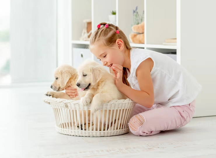 Arrival Coordination in the USA