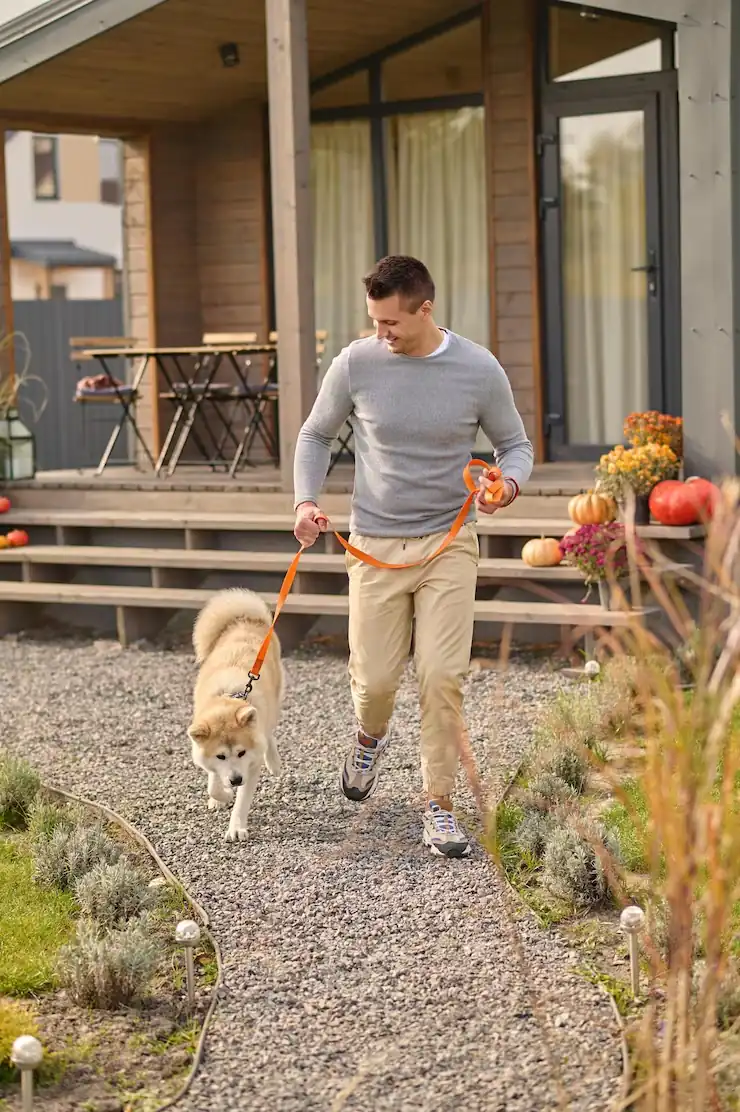 Edinburgh Pet Transport to USA Services