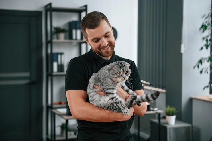 Leeds to USA Pet Shipping Services