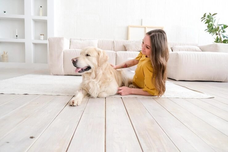 Multi-Pet Relocation from Birmingham to the USA