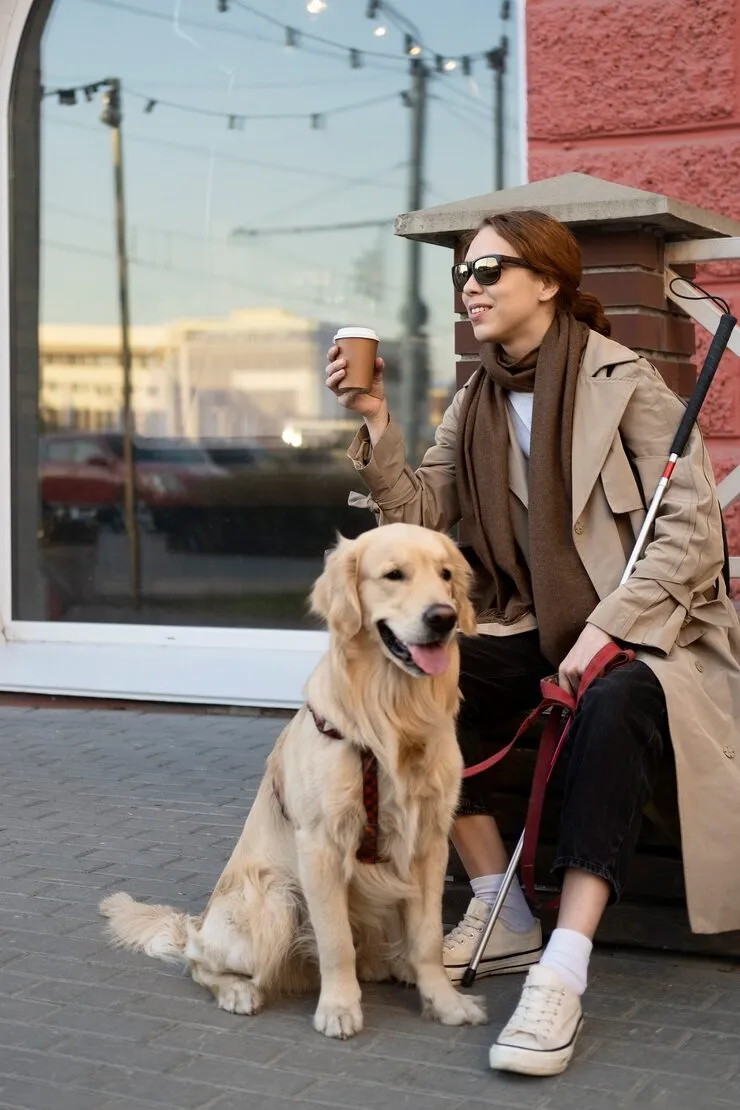 Pet Travel Assessment and Route Control