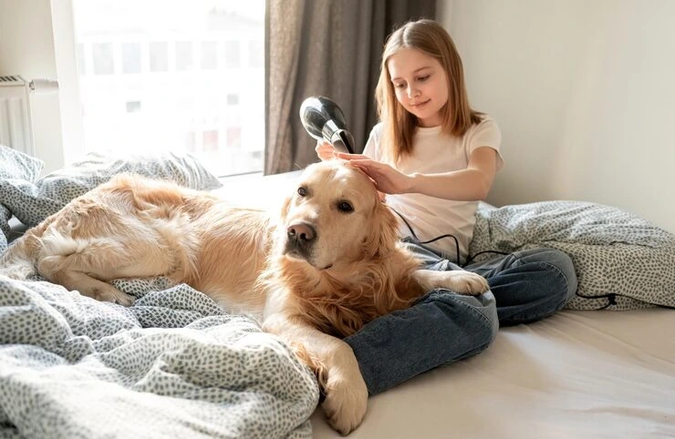 Shipment Oversight and Owner Updates