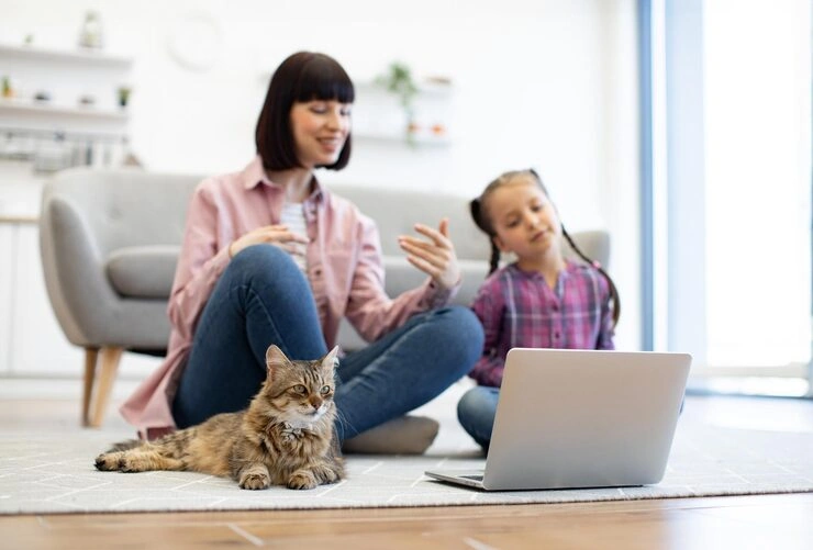 US Entry and Clearance Coordination